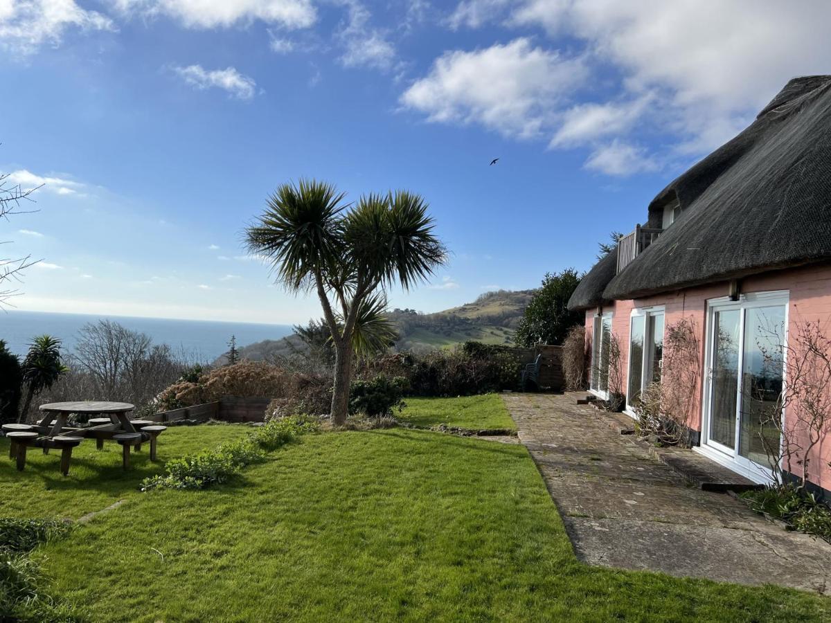 Mole Cottage Shanklin Eksteriør bilde