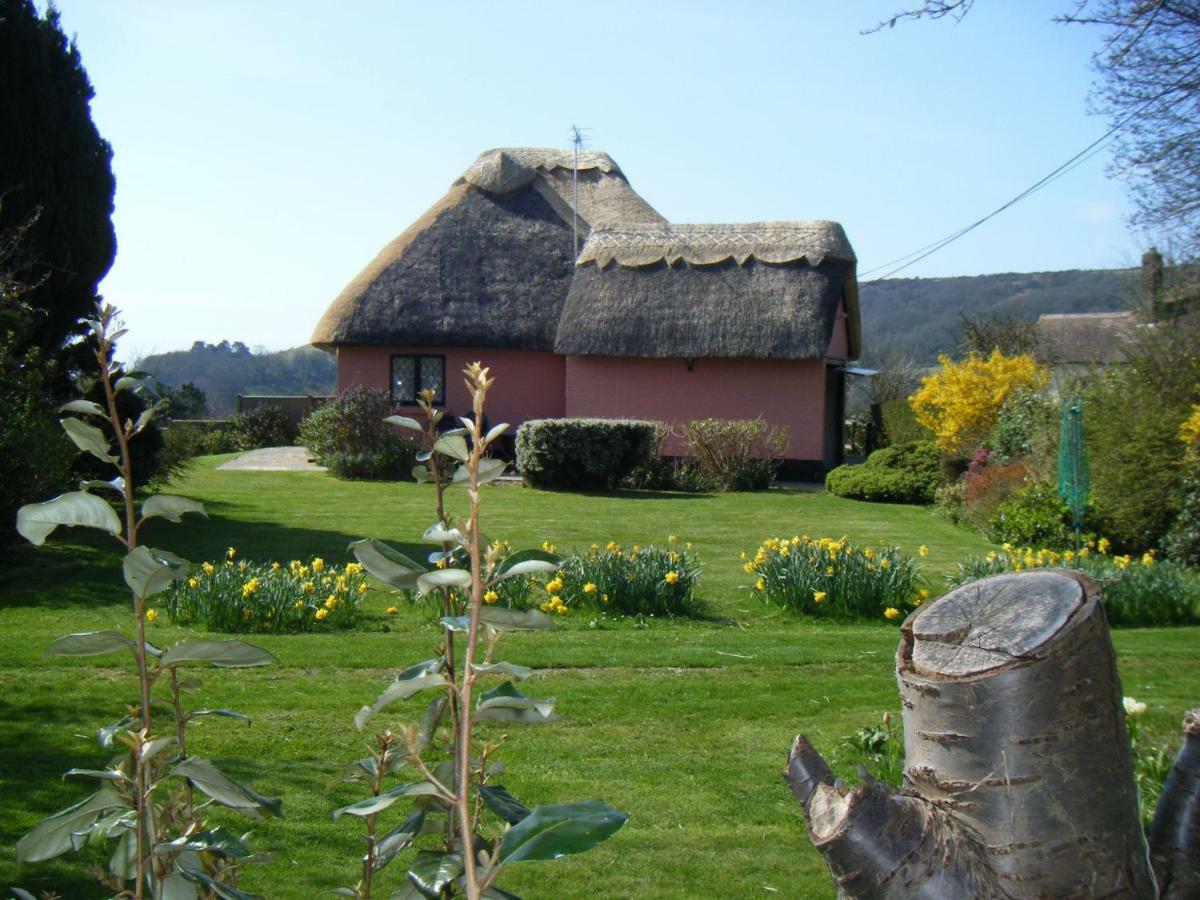 Mole Cottage Shanklin Eksteriør bilde